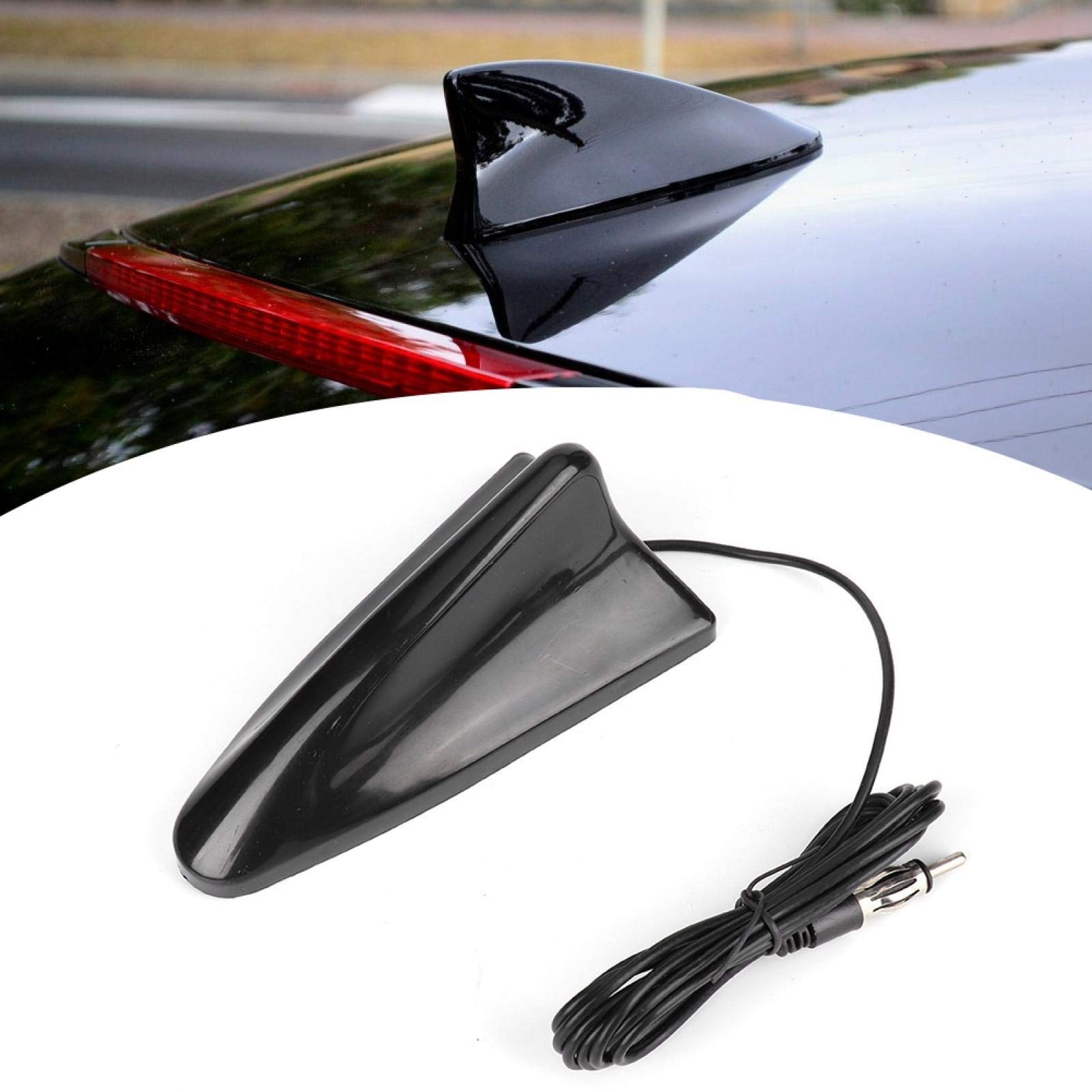 Kuuleyn Antenna Pinna Squalo Auto FM 12V ABS Universale