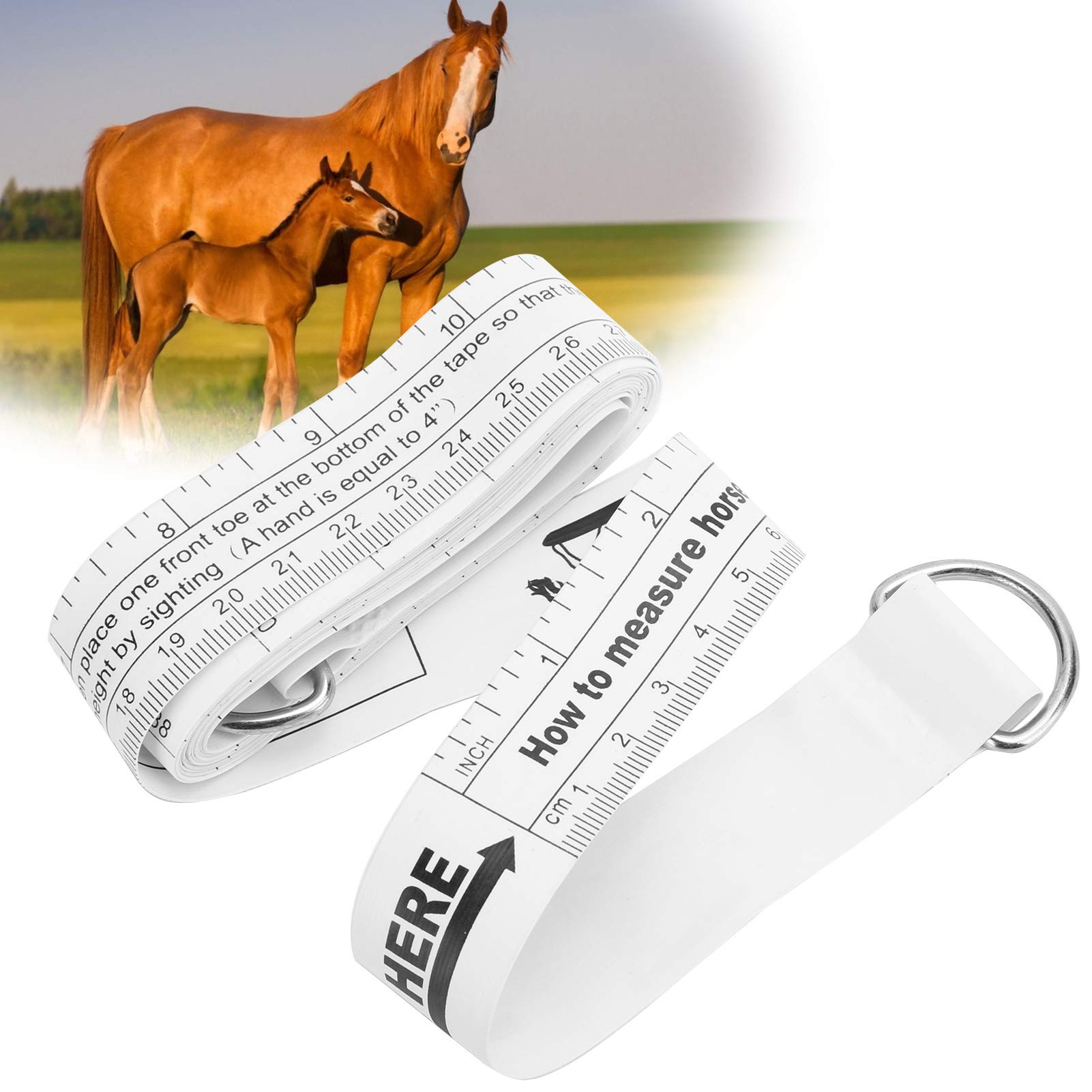 Kuuleyn Nastro Misura Cavallo Peso Altezza 250 cm