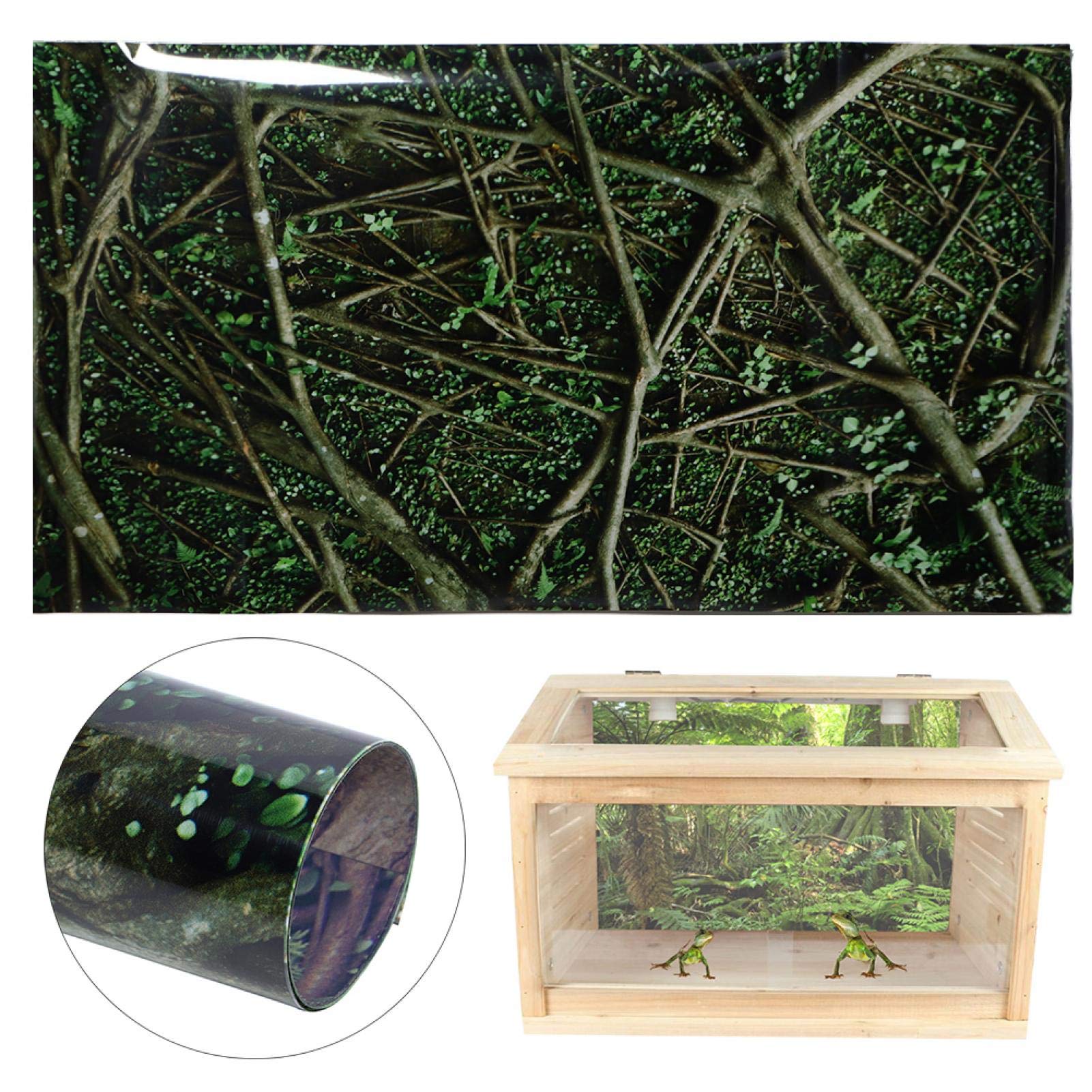 Kuuleyn Sfondo Acquario Adesivo PVC giungla 91x50 cm