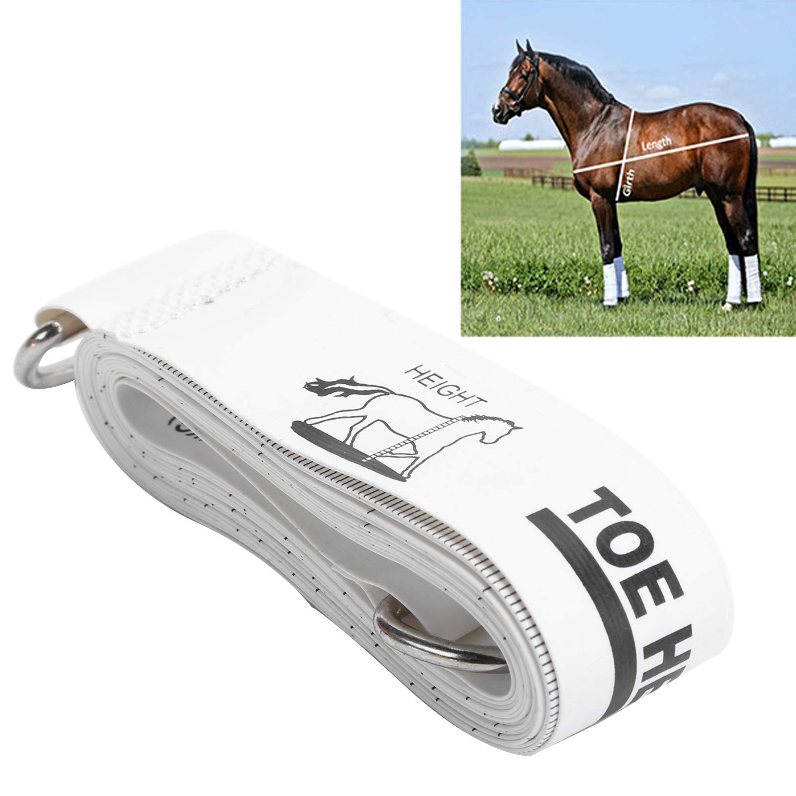 Kuuleyn Nastro Misura Cavallo Peso Altezza 250 cm