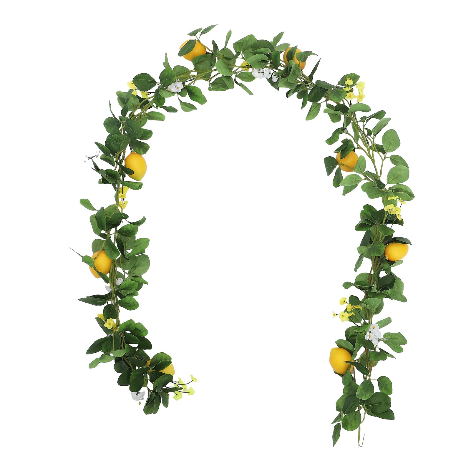 Hapivida Ghirlanda Limone Artificiale Verde 2 m