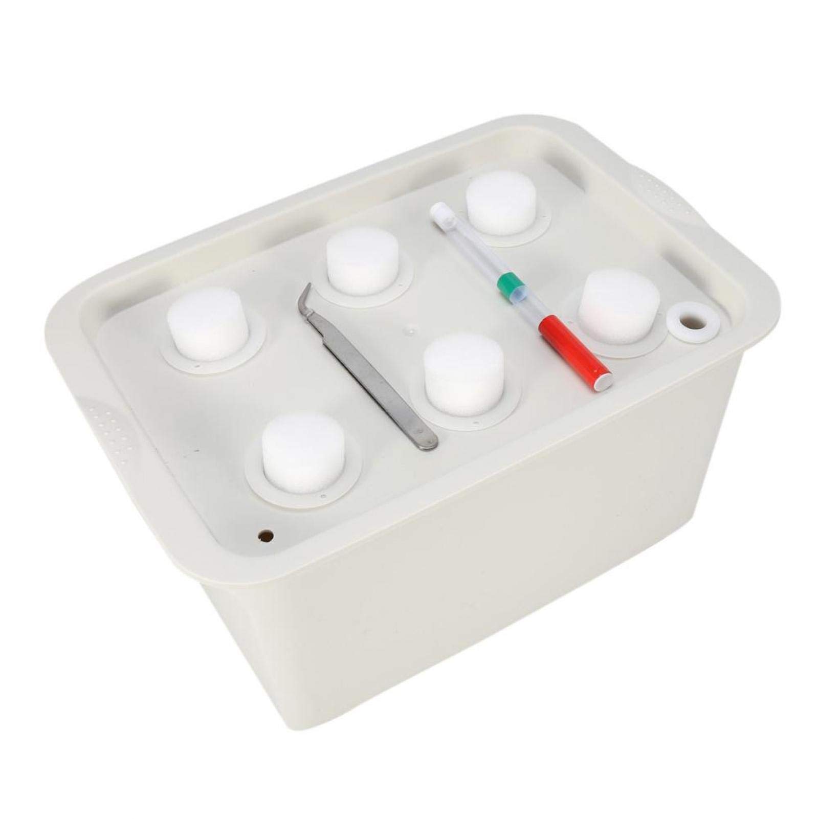Kuuleyn scatola idroponica 6 fori verde kit coltivazione