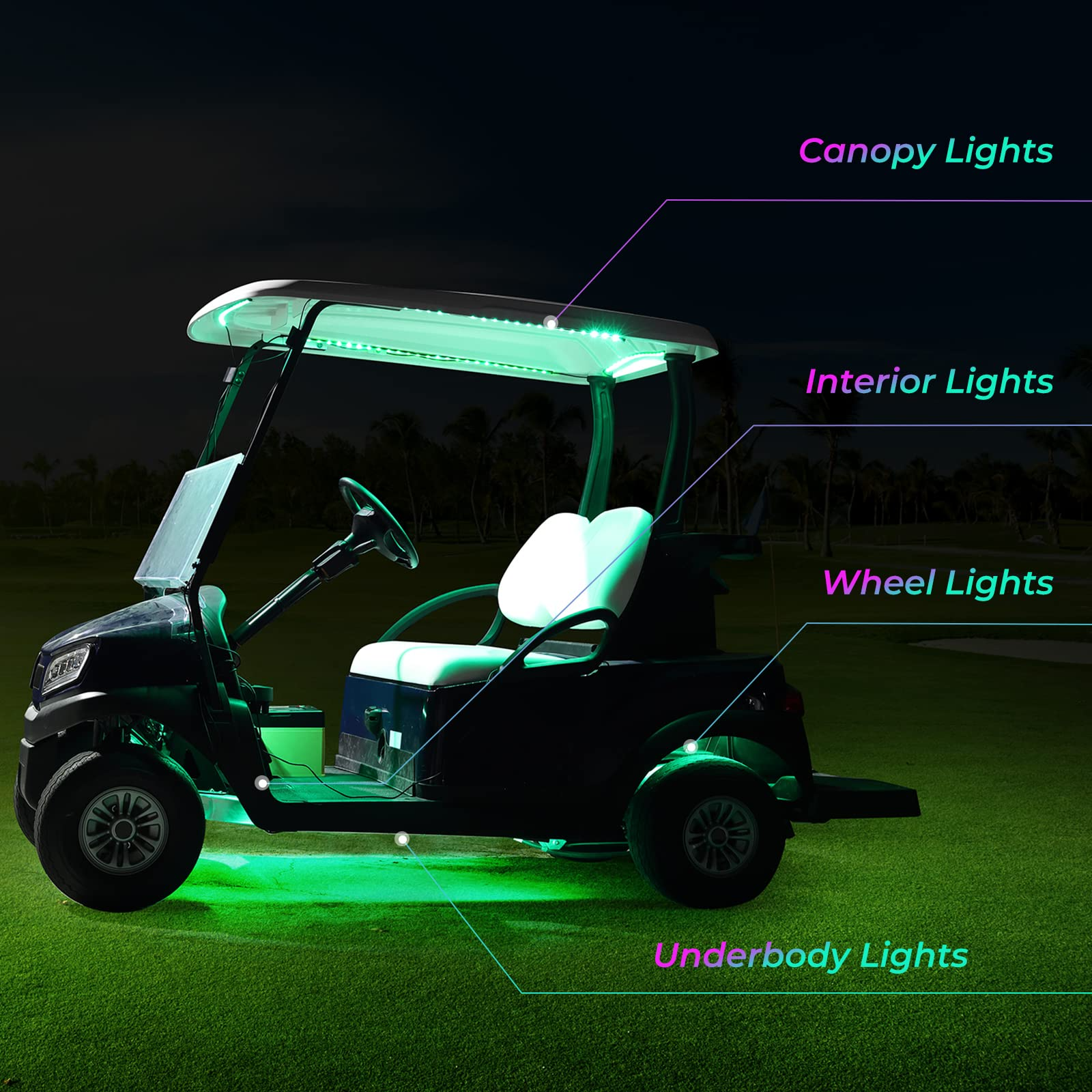KEMIMOTO Kit Luci LED Sottoscocca Golf Cart 12V 12 Pezzi RGB