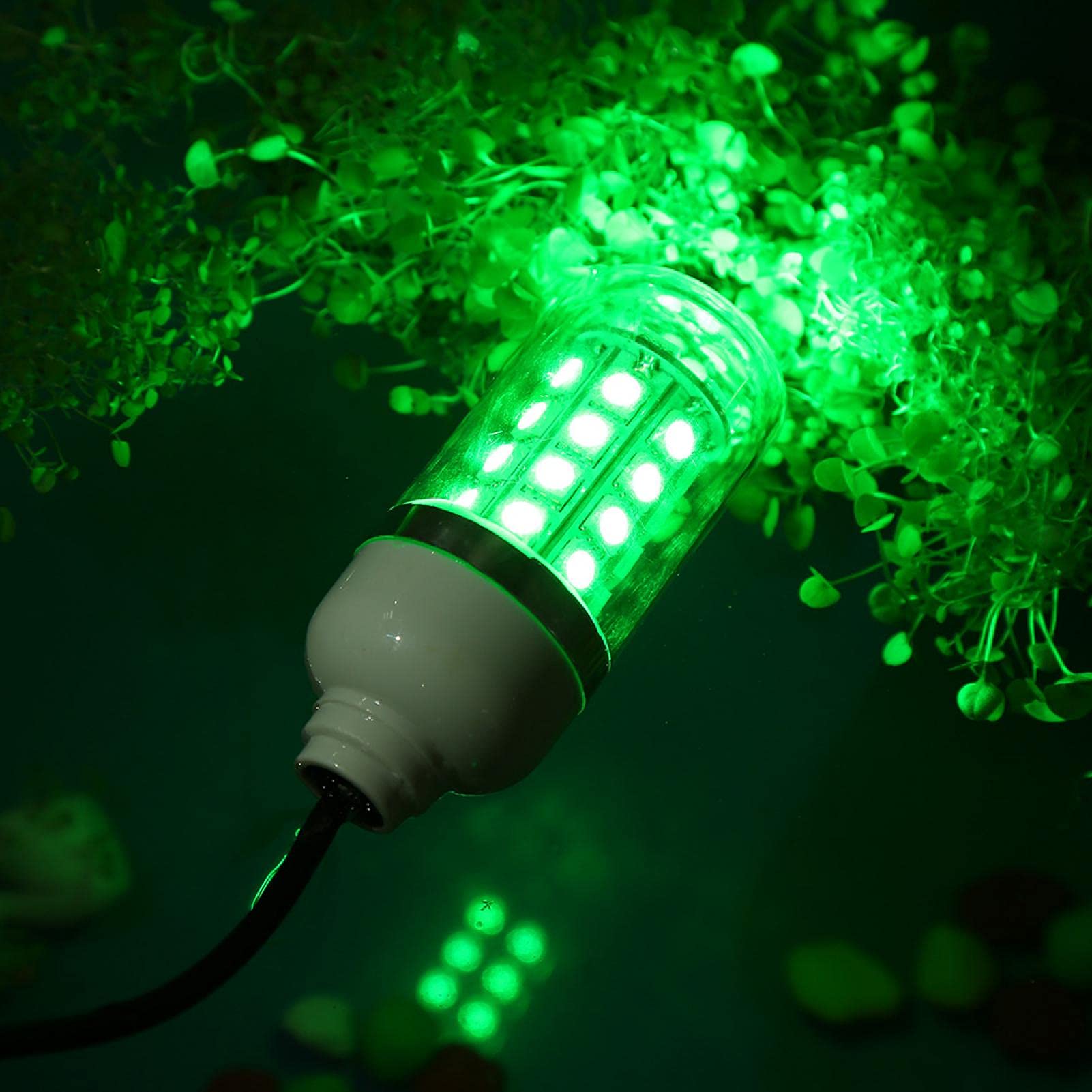Kuuleyn Lampada Pesca Subacquea LED Verde 5 m Barca