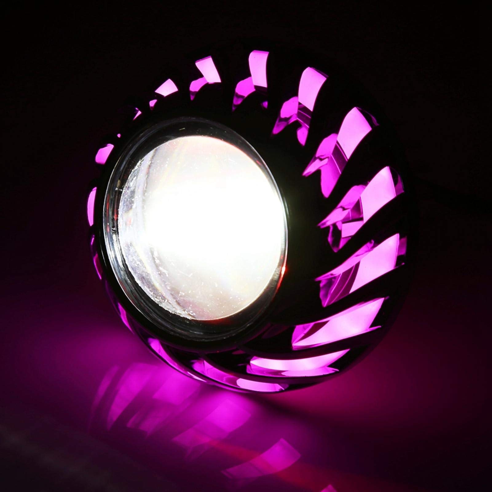 Kuuleyn faro LED moto Angel Eye rosa 85mm 9-60V