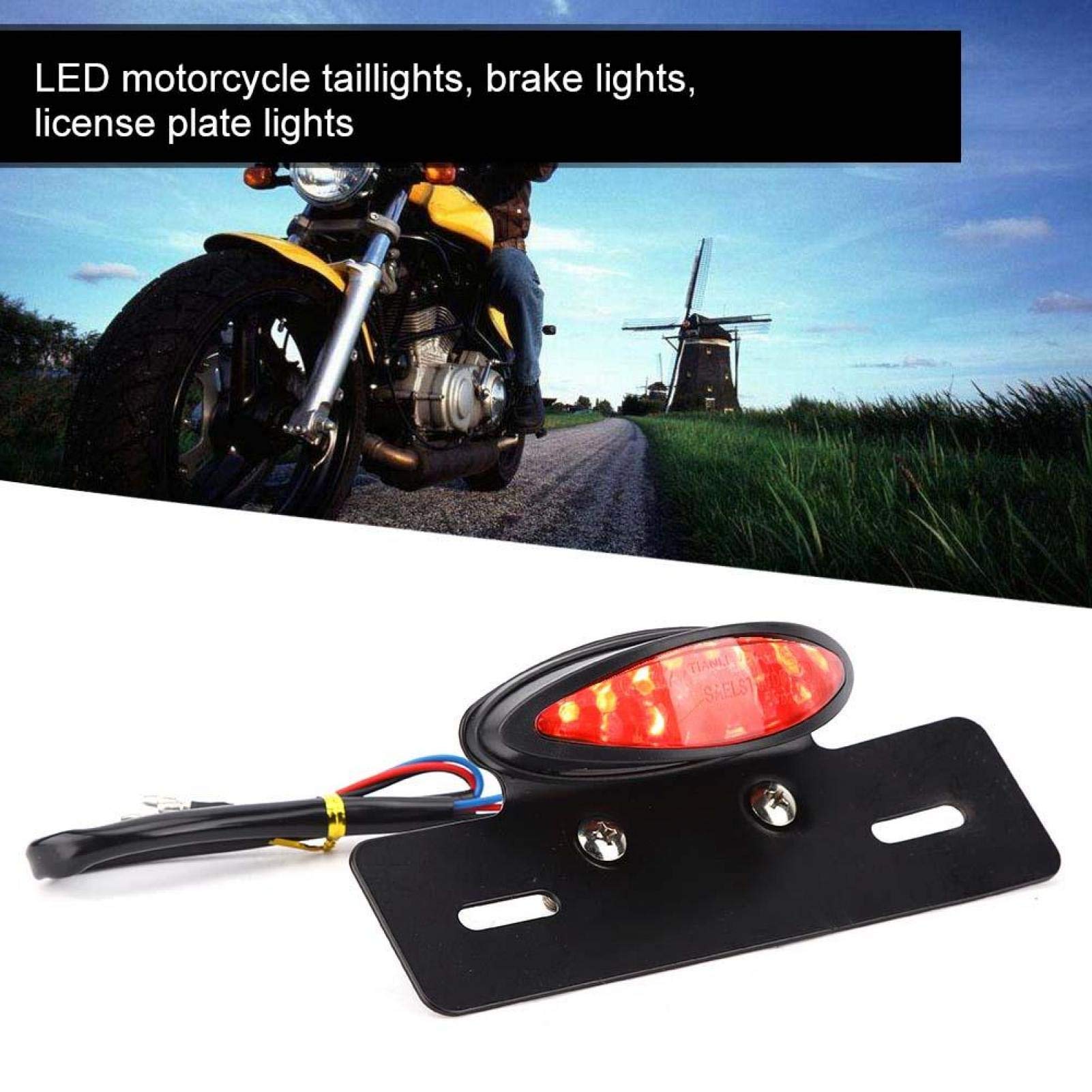 Kuuleyn fanale posteriore moto LED affumicato 12V 1 pz