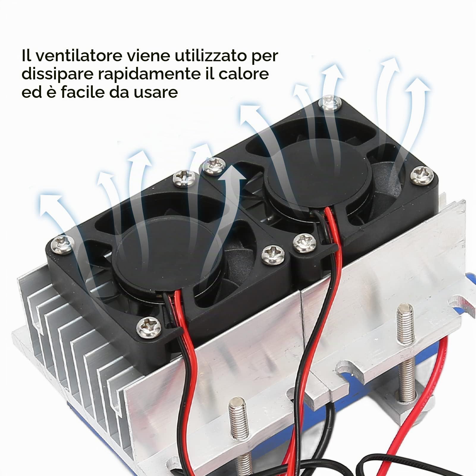 AOWINHIT Peltier Kit Raffreddamento Termoelettrico 12V 100W