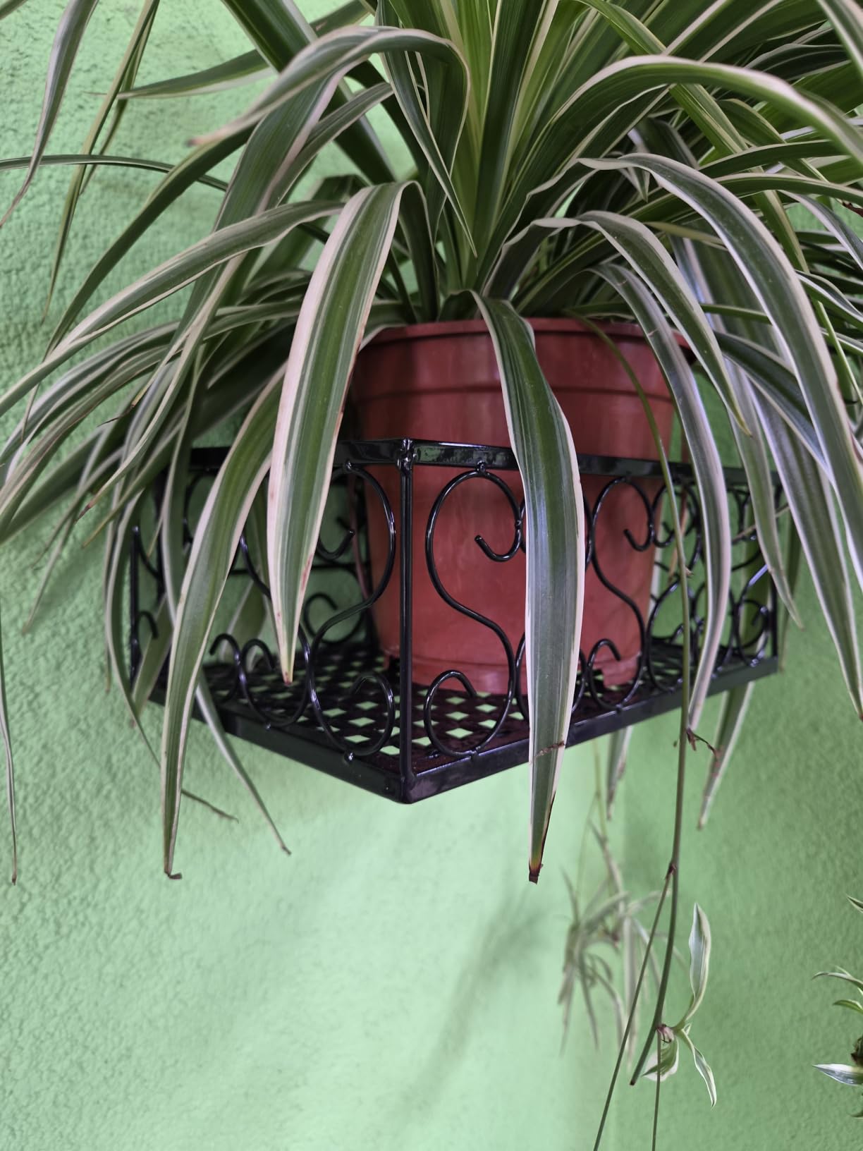 Hapivida cesto fiori ringhiera ferro nero 30 cm 6,5 cm
