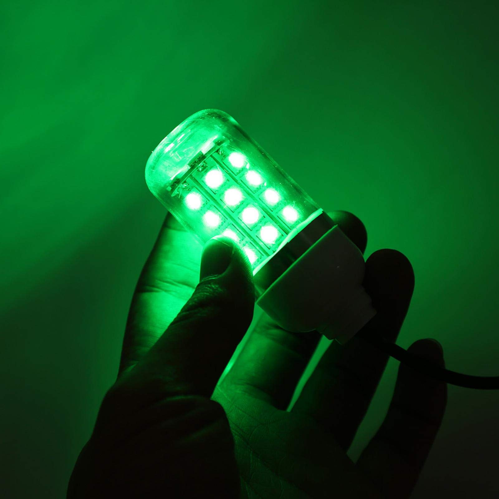 Kuuleyn Lampada Pesca Subacquea LED Verde 5 m Barca