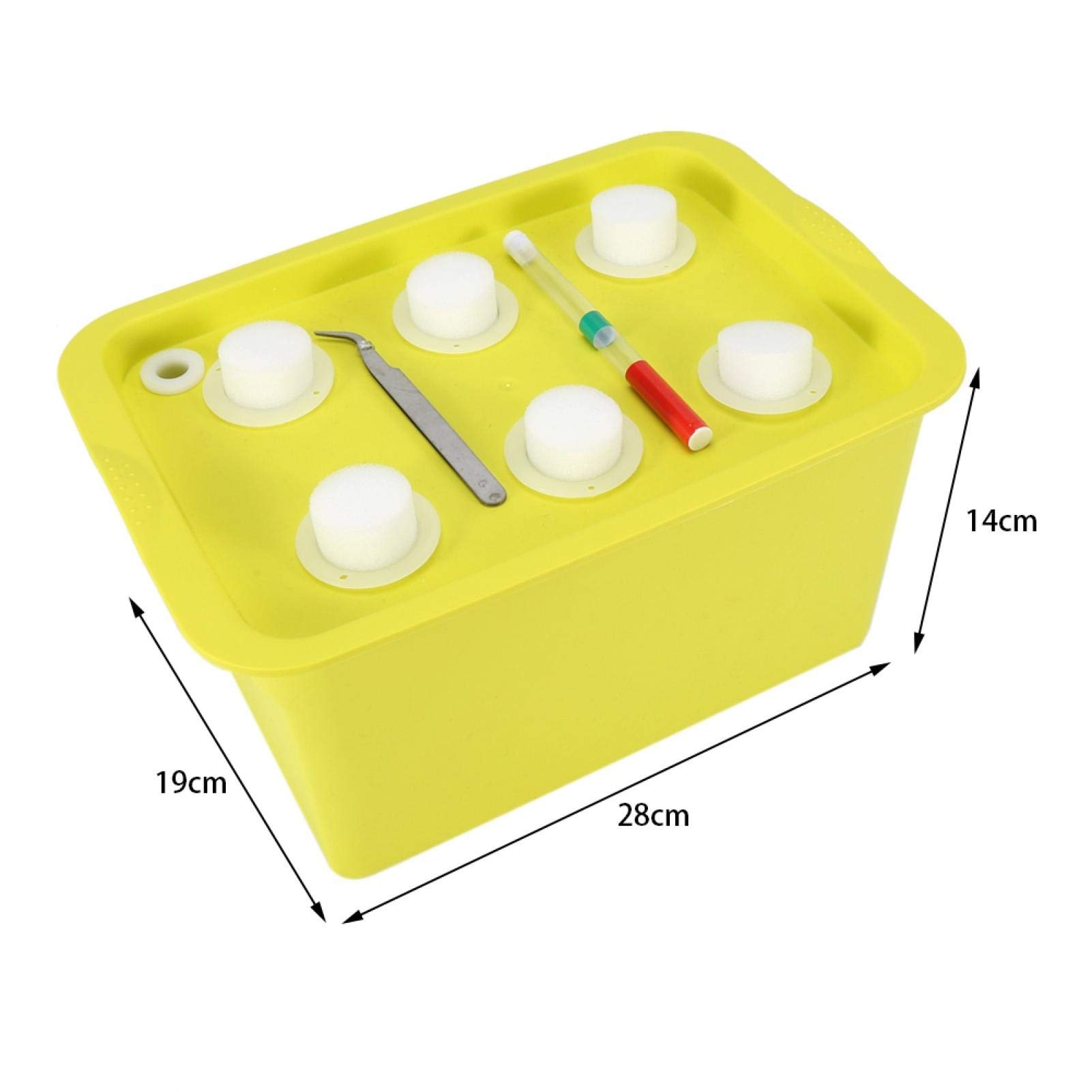 Kuuleyn scatola idroponica 6 fori verde kit coltivazione