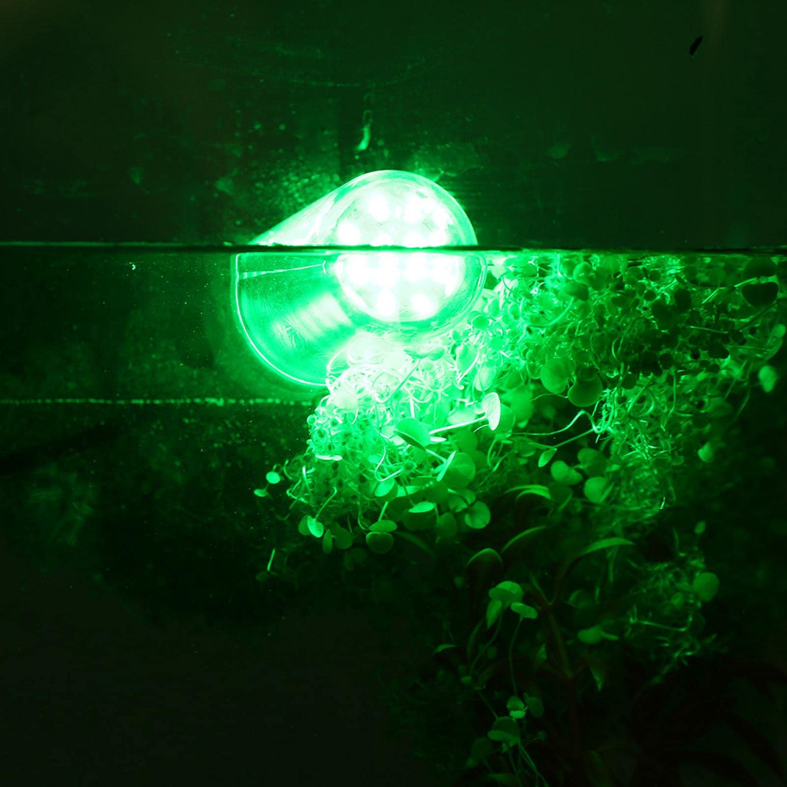 Kuuleyn Lampada Pesca Subacquea LED Verde 5 m Barca