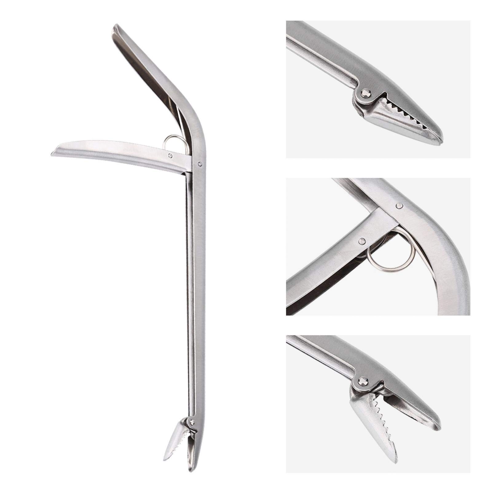 Kuuleyn Slamatore Ami da Pesca Acciaio Inox 29 cm Molla