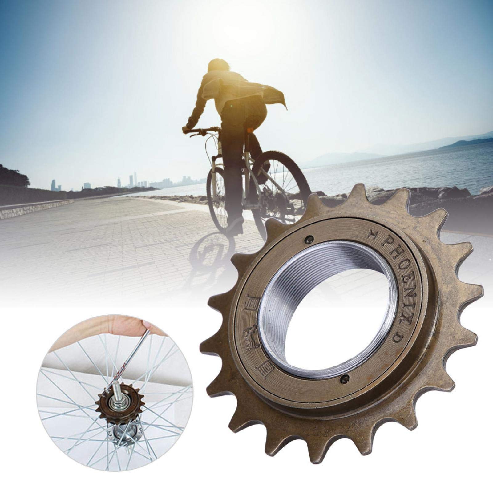 Kuuleyn Ruota Libera Bici 18 Denti Velocità Singola