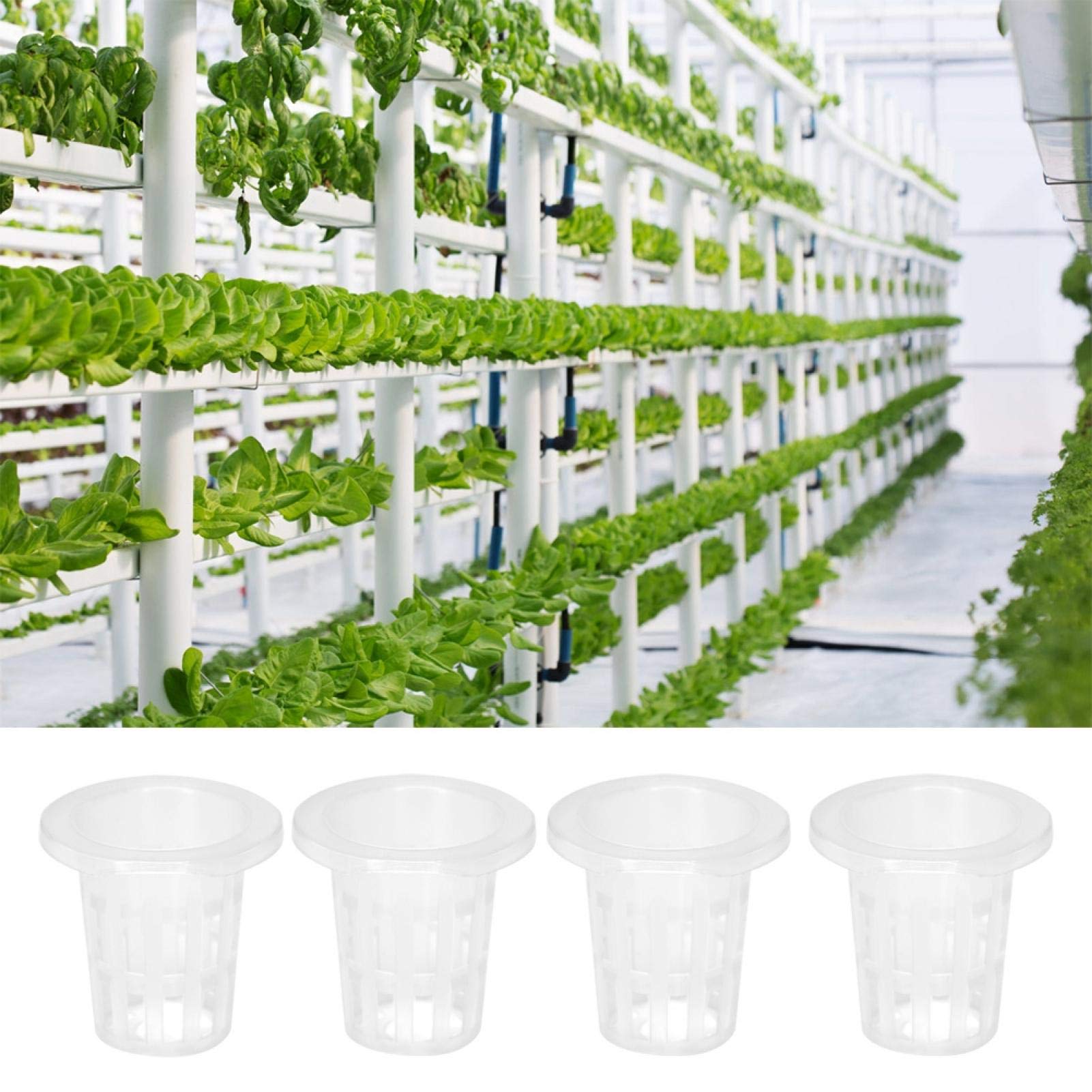 Kuuleyn Cestini Idroponici Rete Plastica Set 10 Pezzi