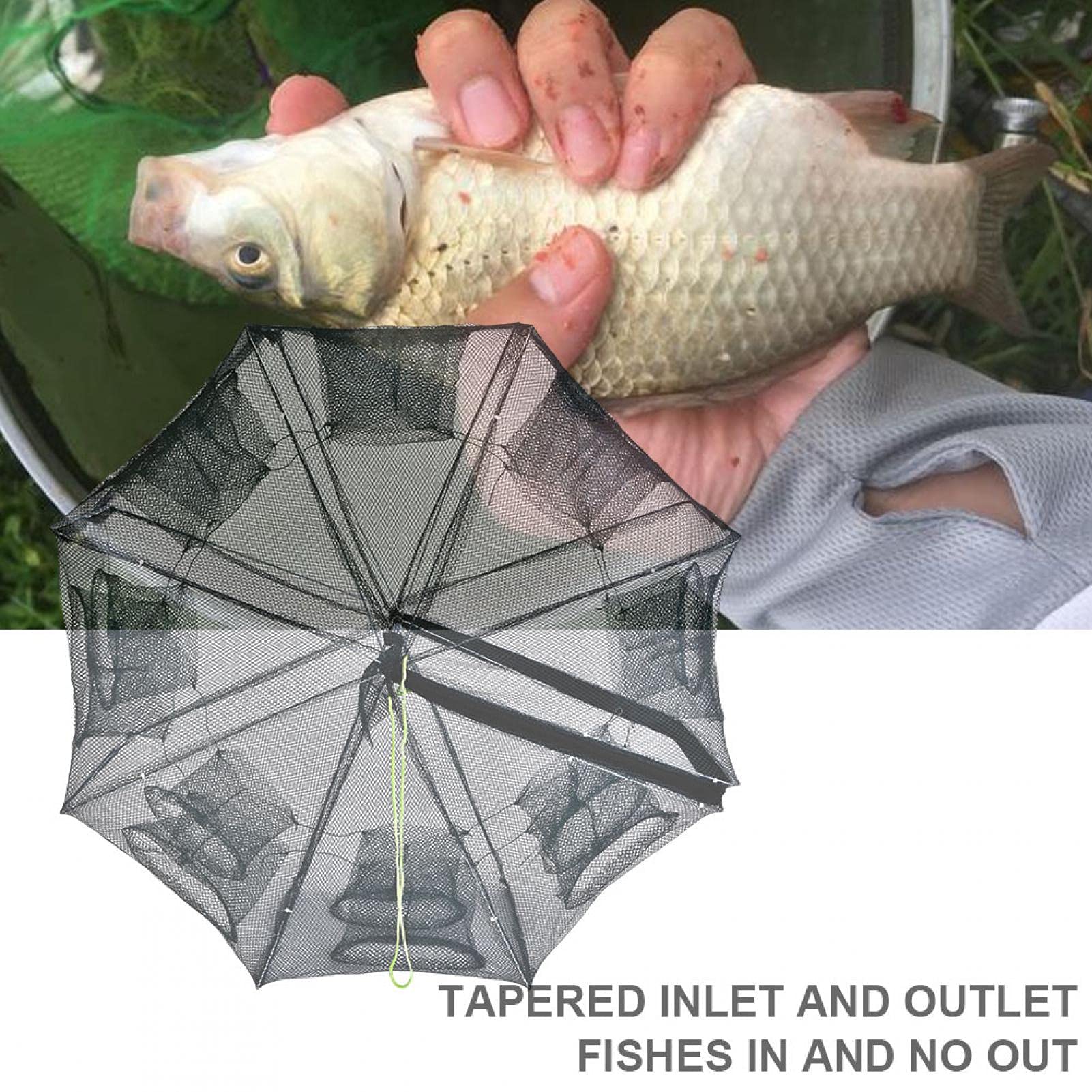 Kuuleyn Trappola Pesca Pieghevole Nassa 16 Fori 80x35 cm