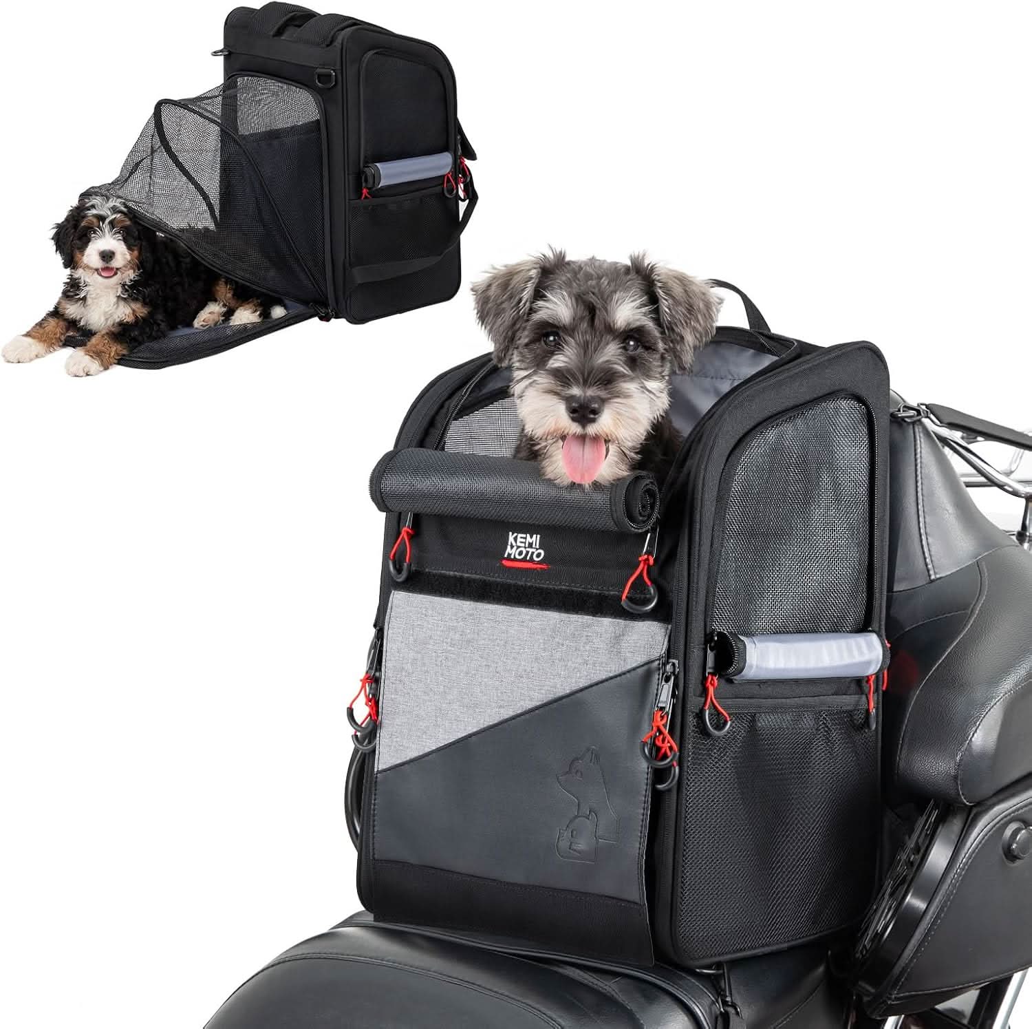 Kemimoto trasportino moto espandibile cani piccoli 7 kg