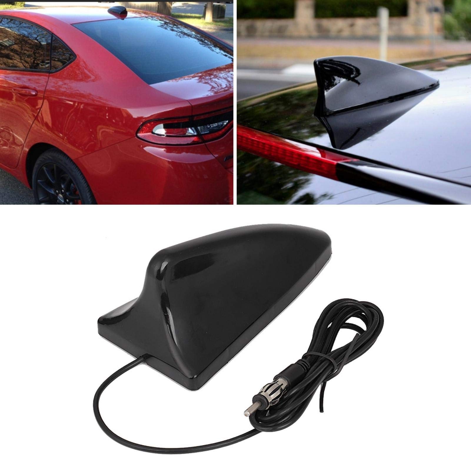 Kuuleyn Antenna Pinna Squalo Auto FM 12V ABS Universale