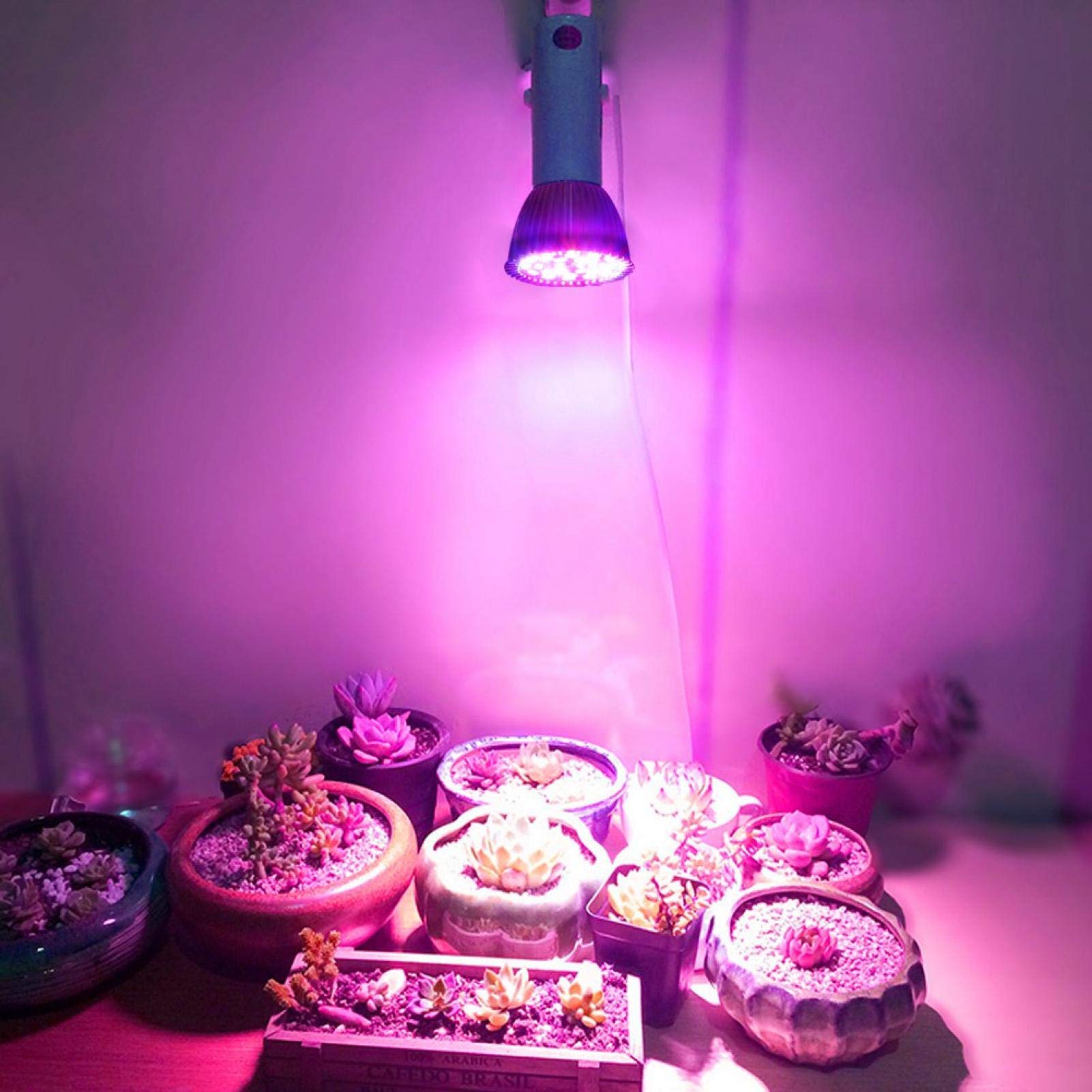 Kuuleyn 28 LED E27 lampada coltivazione 5W spettro completo