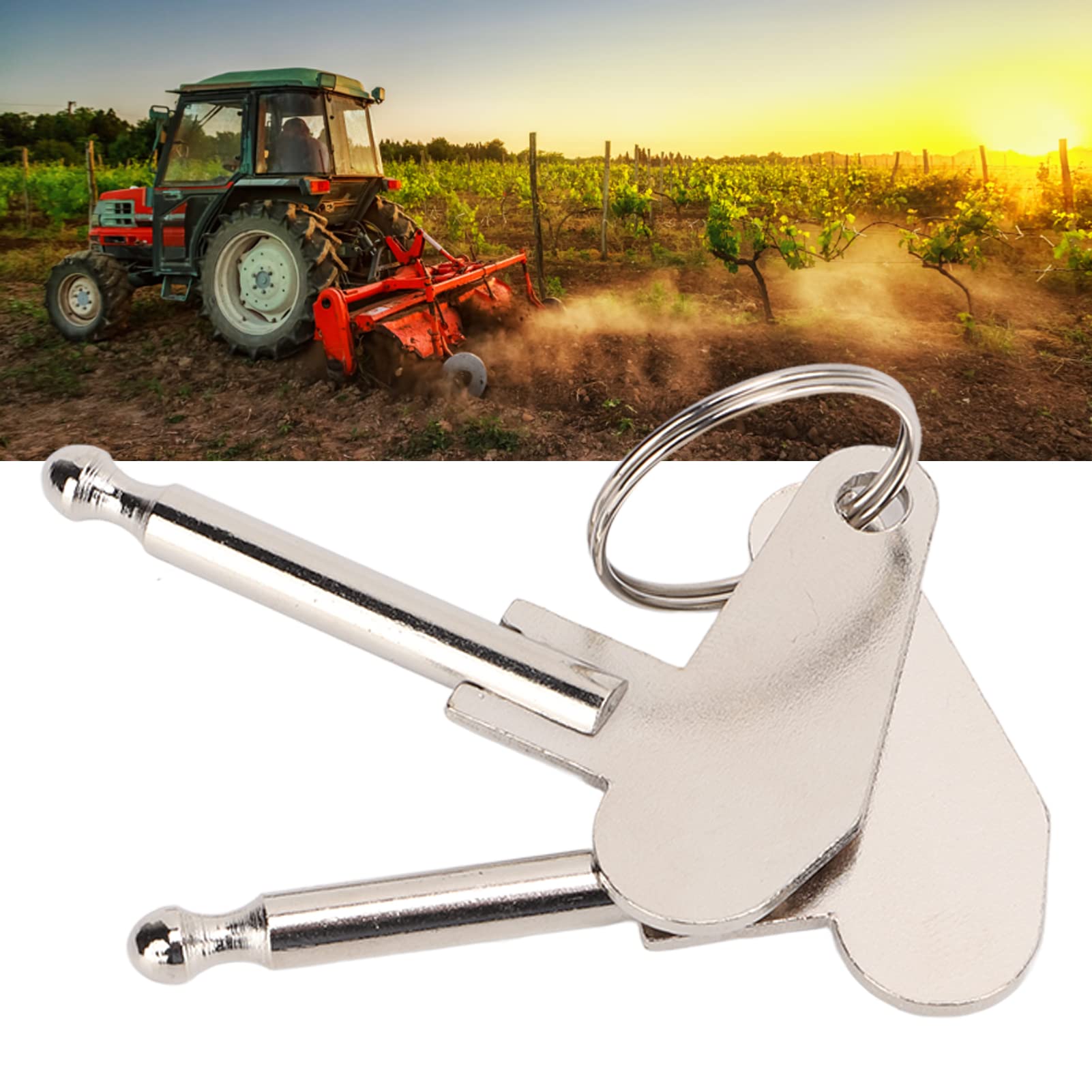 AOWINHIT Chiavi accensione 5mm metallo 2 pezzi universale