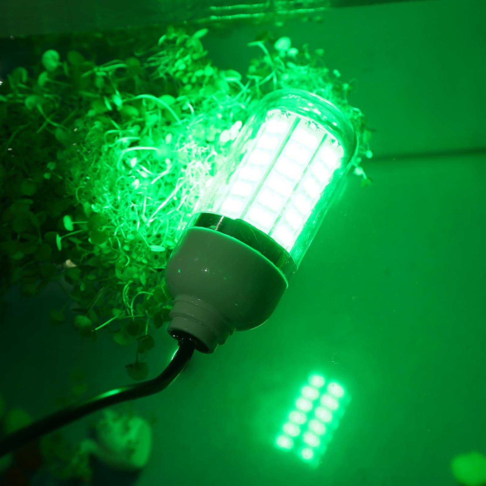 Kuuleyn Lampada Pesca Subacquea LED Verde 5 m Barca