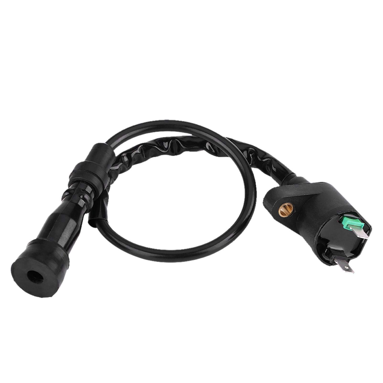 Kuuleyn Bobina Accensione CF250 CH250 250CC Moto