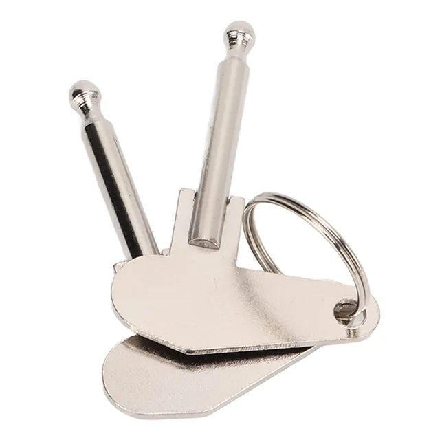 AOWINHIT Chiavi accensione 5mm metallo 2 pezzi universale