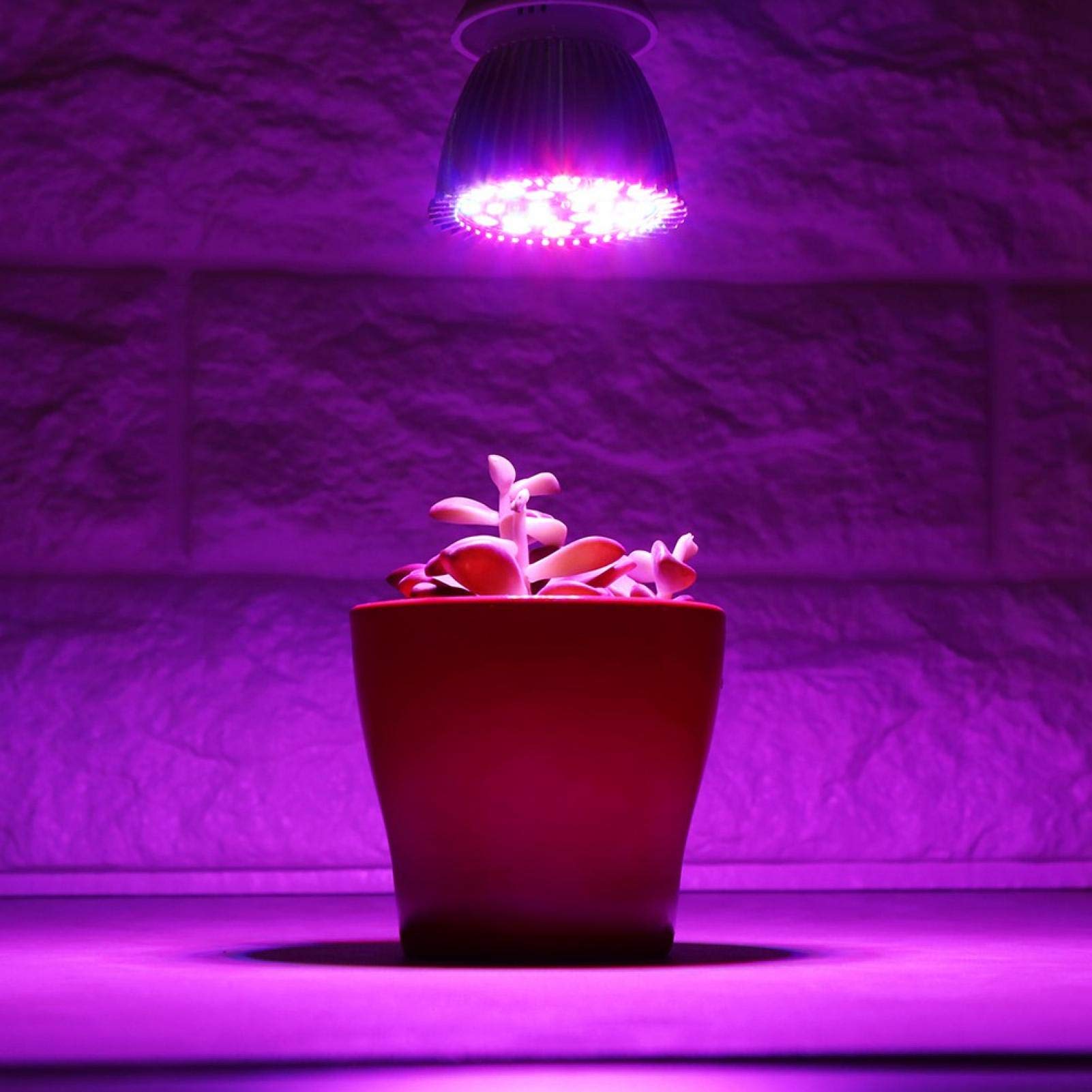 Kuuleyn 28 LED E27 lampada coltivazione 5W spettro completo