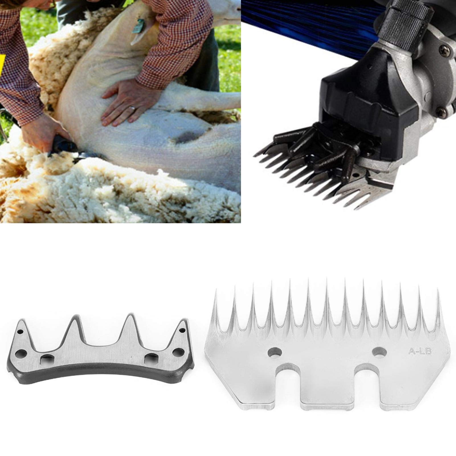 Kuuleyn Lama Tosatrice Pecore Dritta 13 Denti