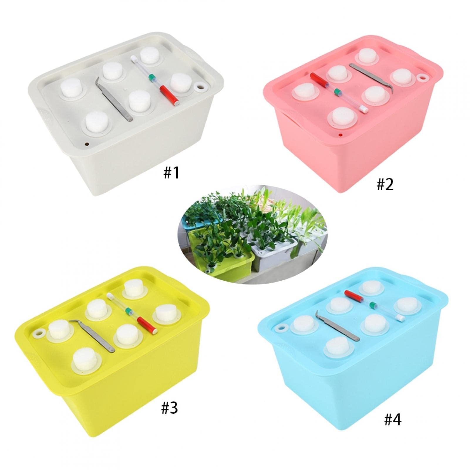 Kuuleyn scatola idroponica 6 fori verde kit coltivazione