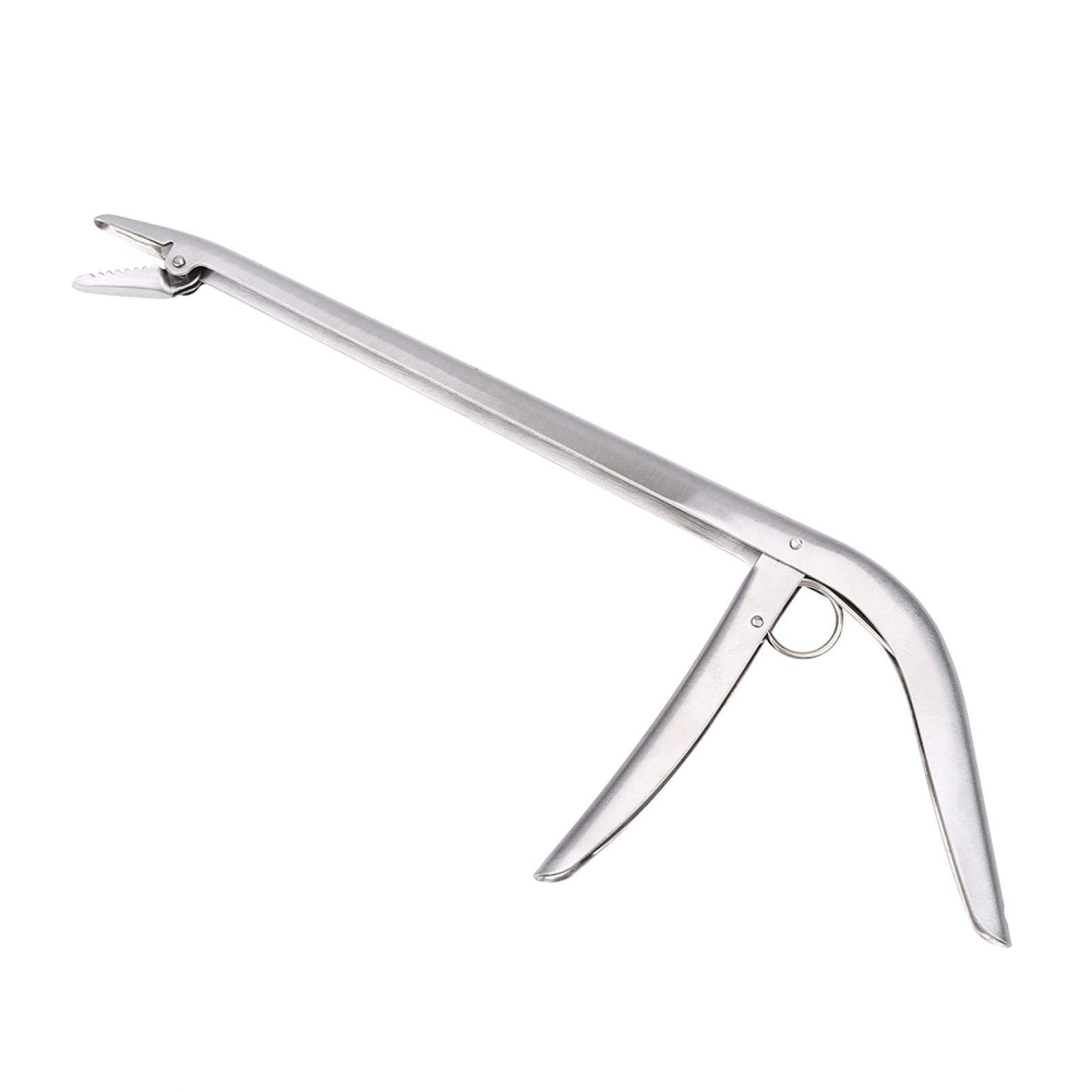 Kuuleyn Slamatore Ami da Pesca Acciaio Inox 29 cm Molla