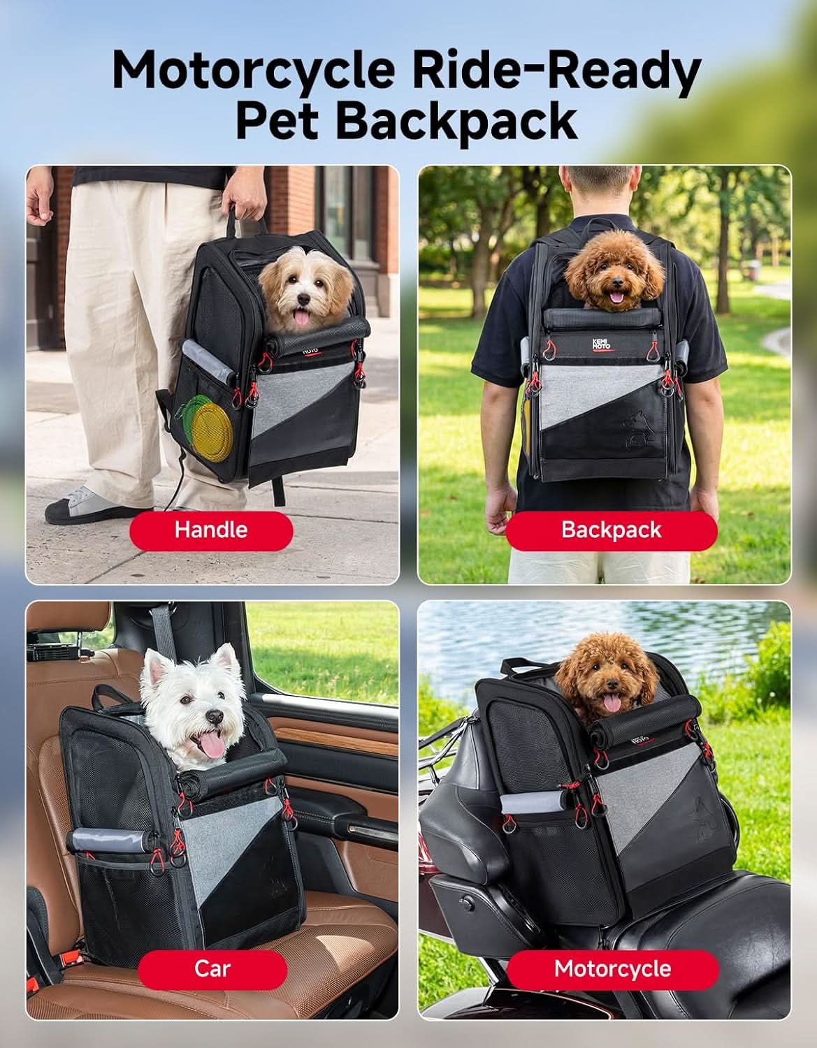 Kemimoto trasportino moto espandibile cani piccoli 7 kg