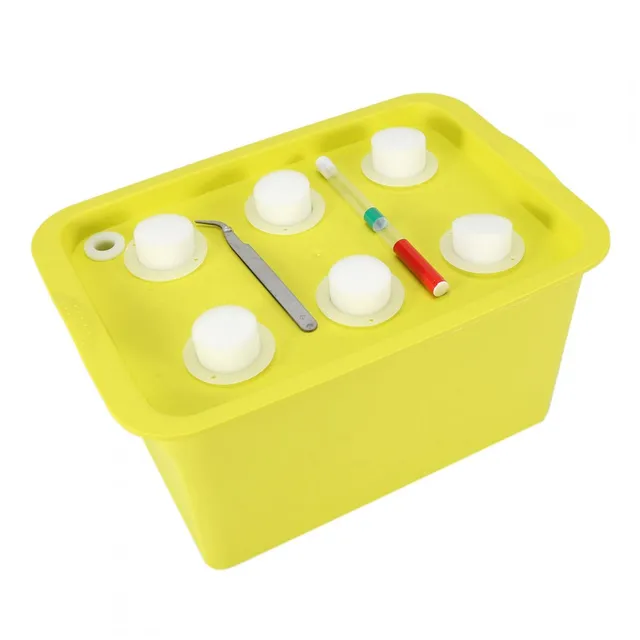 Kuuleyn scatola idroponica 6 fori verde kit coltivazione