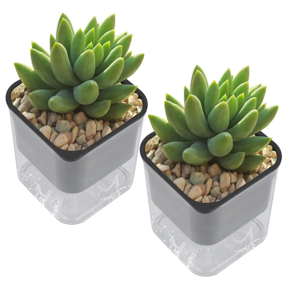 Kuuleyn Vaso Fiori Autoirrigante Trasparente 2 Pezzi