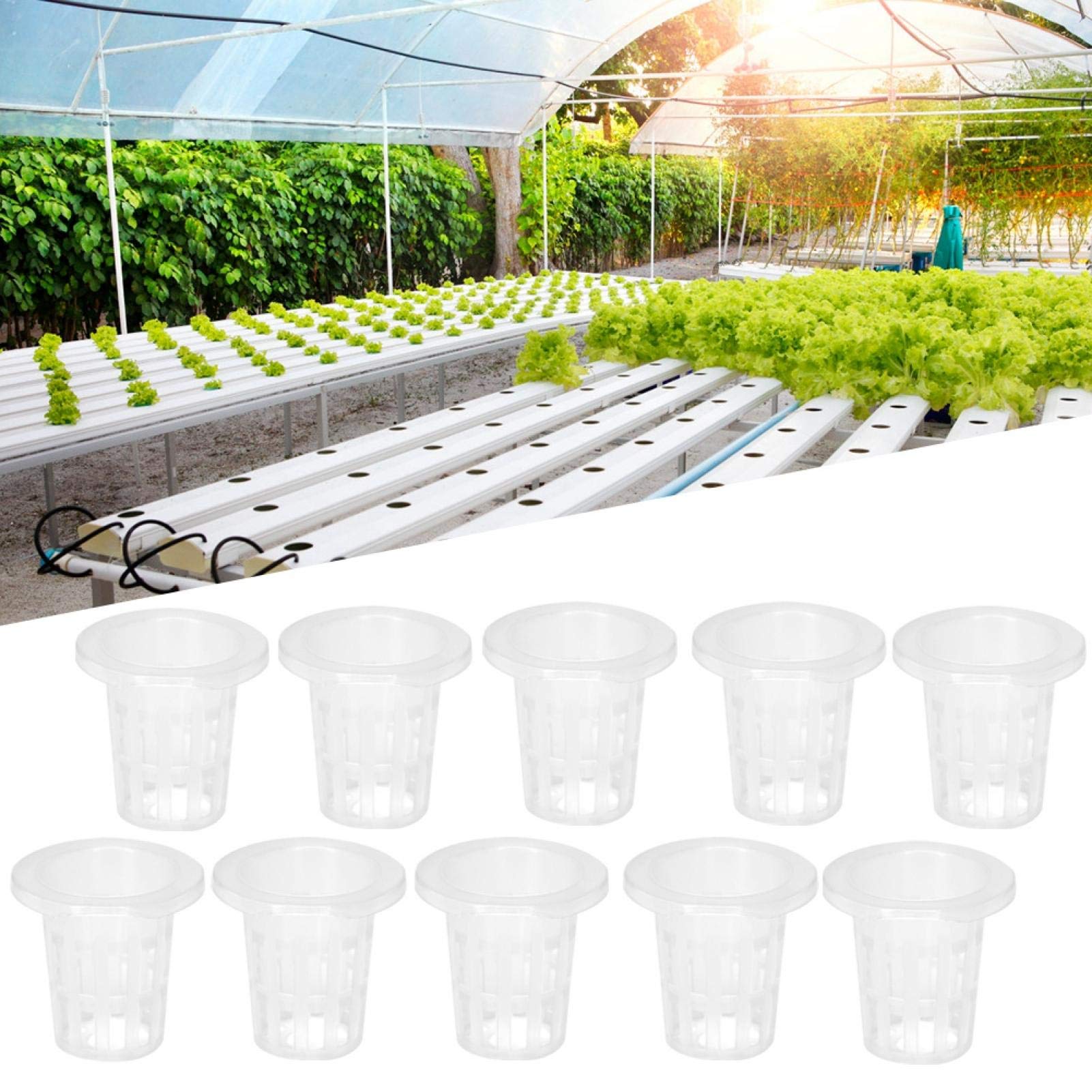 Kuuleyn Cestini Idroponici Rete Plastica Set 10 Pezzi