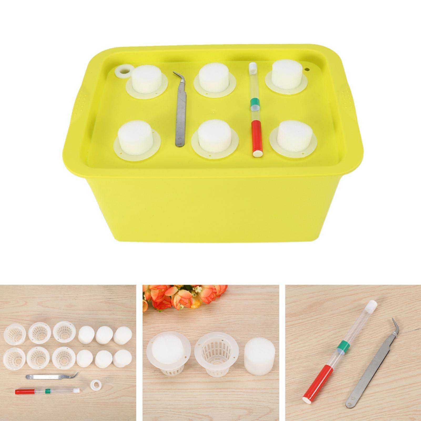 Kuuleyn scatola idroponica 6 fori verde kit coltivazione