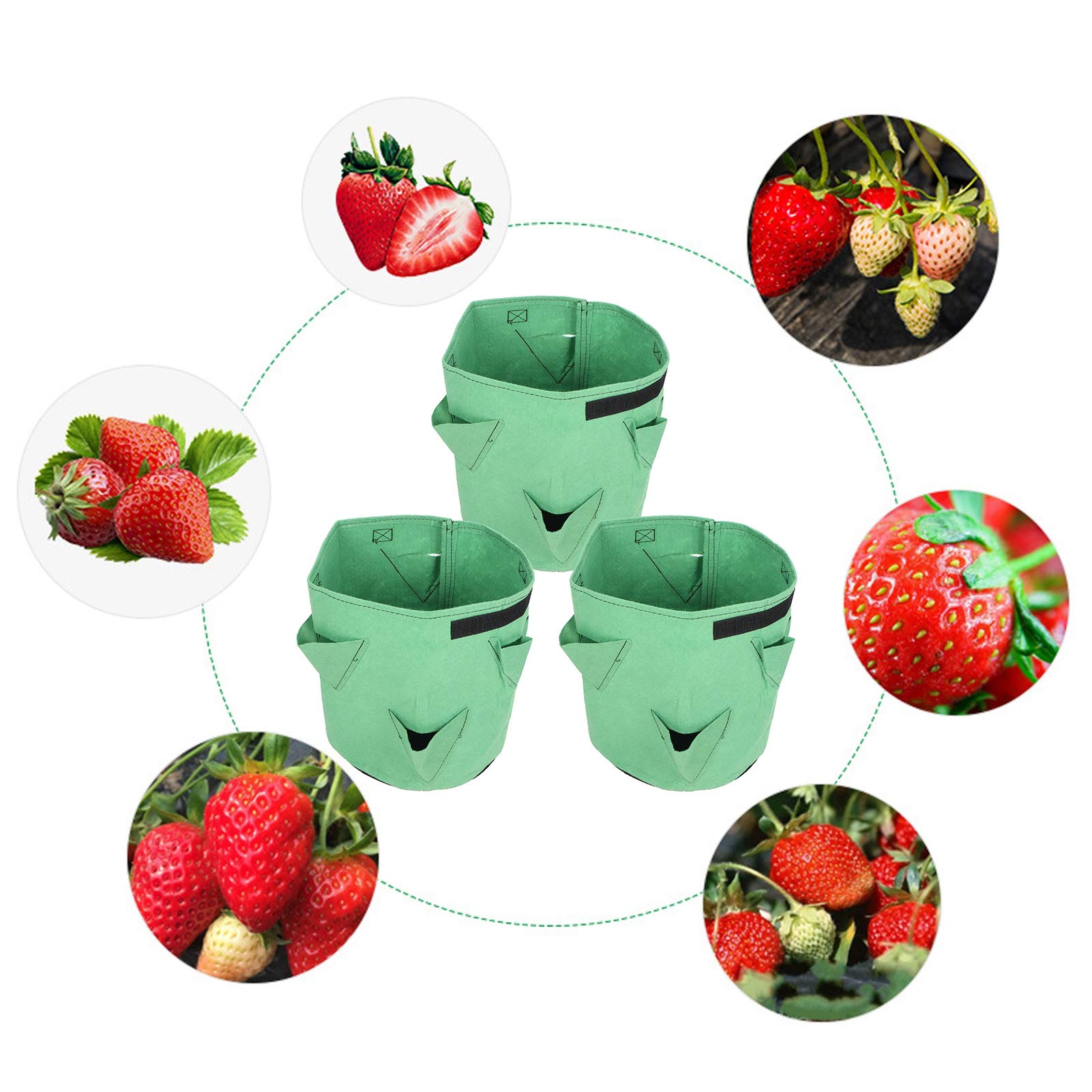 Kuuleyn Vaso Coltivazione Fragole Feltro 26L 3 Pezzi Verde
