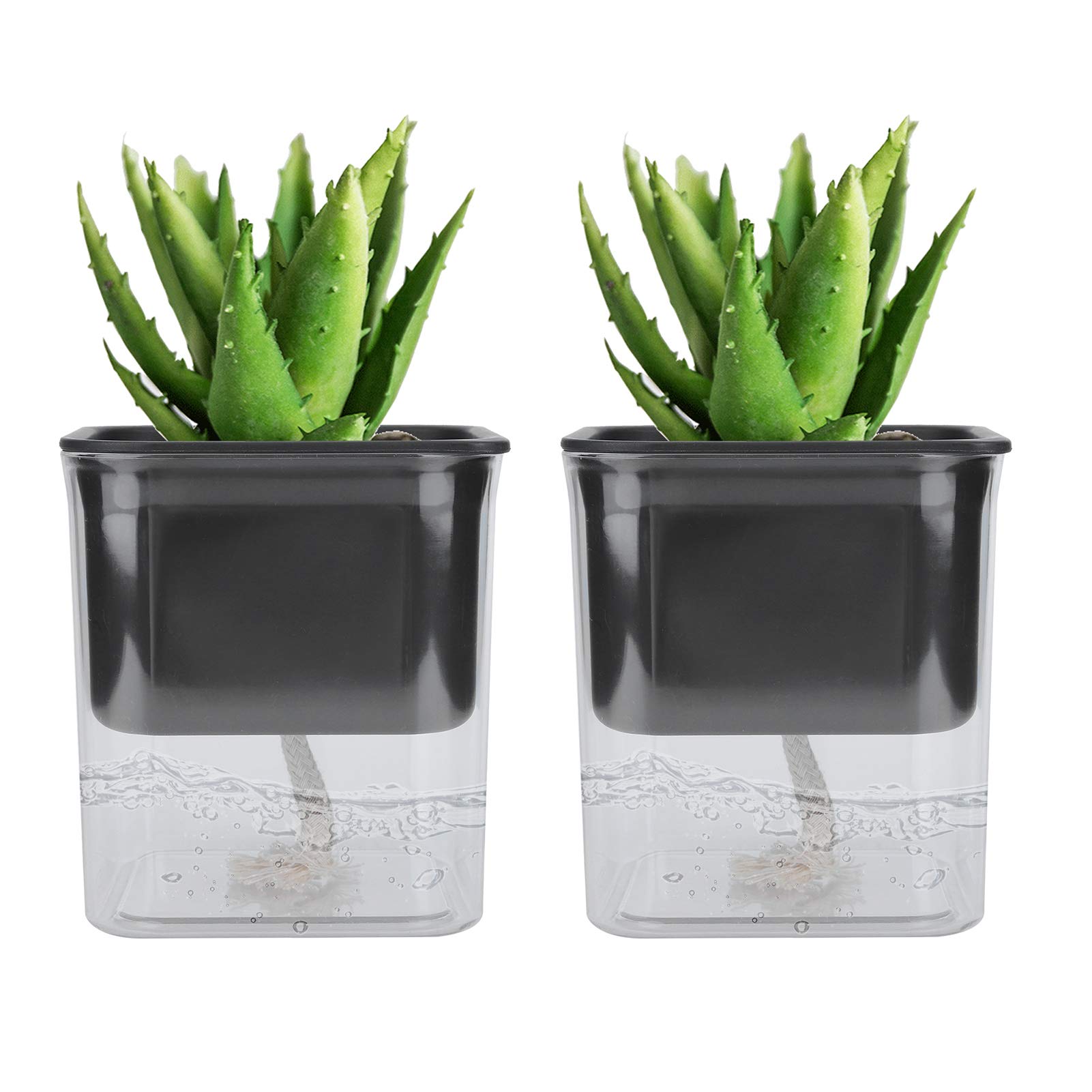 Kuuleyn Vaso Fiori Autoirrigante Trasparente 2 Pezzi
